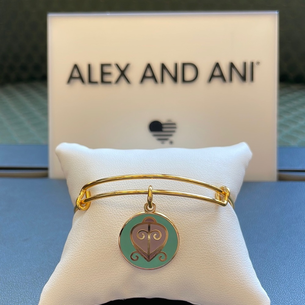 NWT Alex and Ani The Way Home bracelet